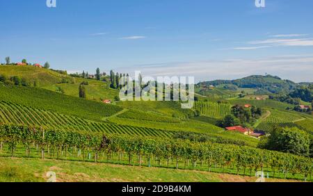 Weinberge entlang der südsteirischen Weinstraße, eine charmante Region an der Grenze zwischen Österreich und Slowenien mit grünen Hügeln, Weinberge, malerisch Stockfoto