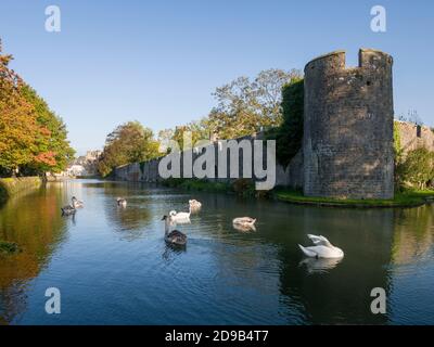 Der Bischofspalast Graben und Mauer im Herbst in der Stadt Wells, Somerset, England. Stockfoto