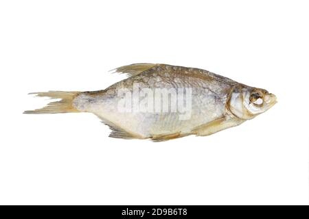 Ein trockener Fisch isoliert auf weißem Hintergrund, Biersnack, Draufsicht. Stockfoto