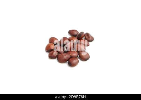 Johannisbrotkerne isoliert auf weißem Hintergrund. Isolierte Johannisbrotkörner. Stockfoto