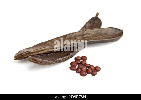 Isolierte Johannisbrotkissen. Getrocknete Johannisbrotbaum-Schoten mit isolierten Samen auf weißem Hintergrund. Stockfoto