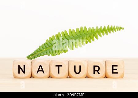 Naturkonzept. Holzblöcke mit Text und grünem Blatt auf dem Tisch. Speicherplatz kopieren Stockfoto