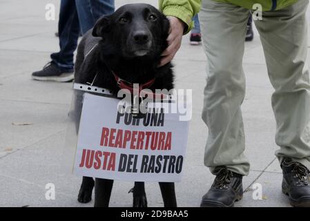 Madrid, Spanien. November 2020. Händler und Hausierer veranstalten am 1. November 2020 eine Demonstration auf dem Cascorro-Platz in Madrid, Spanien, und fordern die Wiedereröffnung des Flohmarktes El Rastro, der wegen der neuen Art von Coronaviru seit 7 Monaten geschlossen ist.Quelle: CORDON PRESS/Alamy Live News Stockfoto