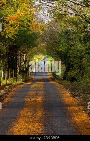 Ardara, County Donegal, Irland 4. November 2020. Personen, die während der Stufe 5 Sperren Beschränkungen aufgrund von Covid-19, Coronavirus, Pandemie im Nordwesten Grafschaft ausüben. Stockfoto