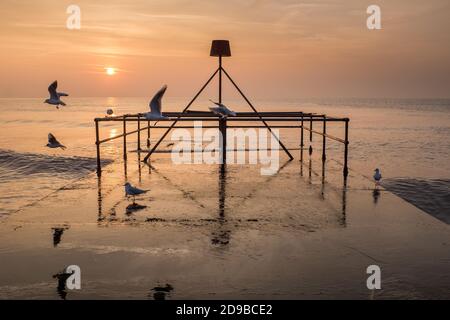 Möwen fliegen am frühen Morgen am Strand von Bournemouth in Dorset aus dem Beton, der den Eingang des Flusses Bourne zum Meer bedeckt, während die Sonne vor einem orangefarbenen Januarhimmel über dem Meer aufgeht. 23. Januar 2015. Foto: Neil Turner Stockfoto