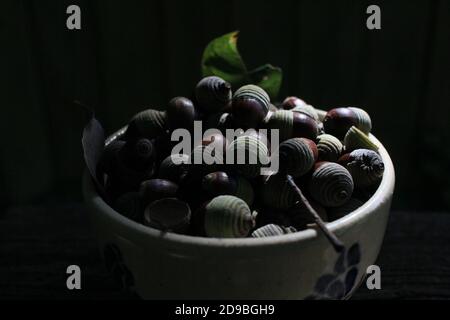 Nahaufnahme einer Schale Eicheln Stockfoto