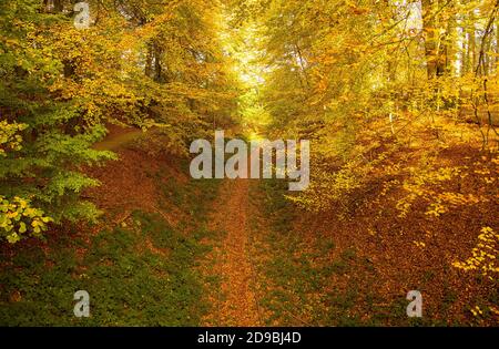 Das Bild passt zu den aktuellen Empfehlungen der Gesundheitsbehörde: Die Menschen nehmen nicht den Zug - lieber einen Spaziergang in der Natur. Stockfoto