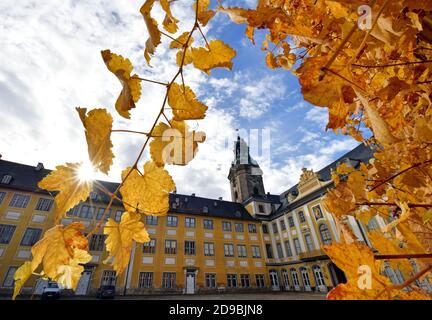 Rudolstadt, Deutschland. November 2020. Weinblätter leuchten herbstlich gelb im Innenhof der Burg Heidecksburg. Die ehemalige Residenz der Fürsten von Schwarzburg-Rudolstadt beherbergt heute das Thüringer Landesmuseum Heidecksburg und das Staatsarchiv Rudolstadt. Hier hat auch die Stiftung Thüringer Schlösser und Gärten ihren Sitz. Quelle: Martin Schutt/dpa-Zentralbild/dpa/Alamy Live News Stockfoto