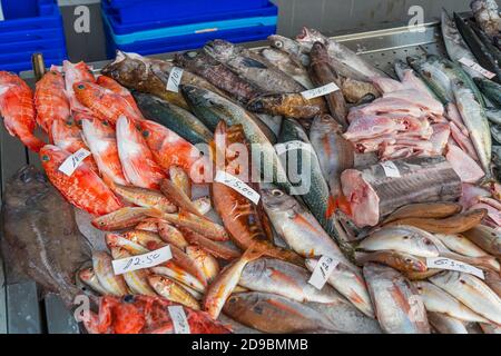 Sebastes und andere Fische auf der Theke auf dem Fischmarkt, Ponta Delgada, Azoren, Portugal Stockfoto