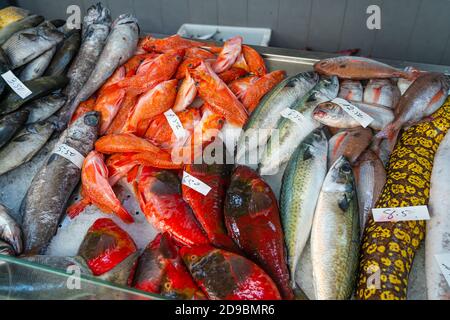 Sebastes und andere Fische auf der Theke auf dem Fischmarkt, Ponta Delgada, Azoren, Portugal Stockfoto