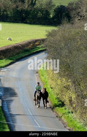 Reiter führt ein weiteres Pferd auf einer Landstraße, Warwickshire, Großbritannien Stockfoto