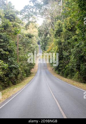 Kurvige Straße im Wald, Bergblick in Khao Yai, Pak Chong, Thailand Stockfoto