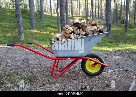 Holzstapel in einem Schubkarren im Wald. Barrow-load, Brennholz. Vorbereitung auf den Winter. Stockfoto