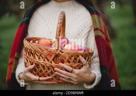 Nahaufnahme einer Frau, die einen Korbkorb mit roten Äpfeln hält. Stockfoto
