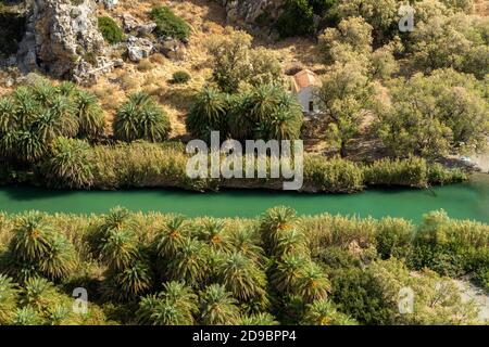 Kretische Sattelpalmen und der Fluss Megalopotamos in der Schlucht von Preveli, Kreta, Griechenland, Europa und dem Megalopotamo Stockfoto