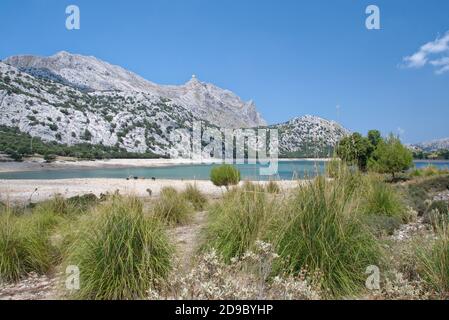 Cuber Reservoir, mit Puig Major Observatorium im Hintergrund, Serra de Tramuntana, Mallorca, August 2018. Stockfoto