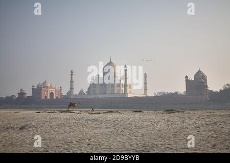Agra, Indien, Januar 2009.Gesamtansicht des Taj Mahal vom anderen Ufer des Yamuna Flusses. Stockfoto