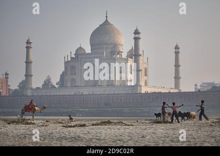 Agra, Indien, Januar 2009. Allgemeine Ansicht des Taj Mahal vom anderen Ufer des Yamuna Flusses mit einem Kamel und mehreren Kindern mit Schafen. Stockfoto