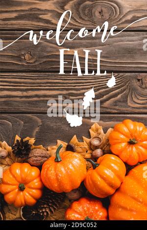 Blick von oben auf herbstliche Dekoration und Kürbisse in der Nähe von Welcome Fall Schriftzug auf Holzhintergrund Stockfoto