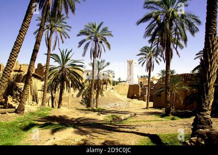 Der Palmenhain in Sidi Okba bei Biskra, Algerien Stockfoto