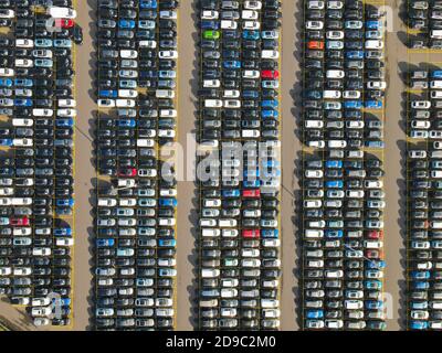 Luftaufnahme von geparkten Autos in einer strukturierten Reihe Parkplatz Leasing Autos neue Produktionsbranche Stockfoto
