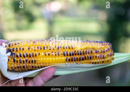 Süßer Mais geröstet auf dem Grill in den Händen von Ein junger Mann Stockfoto