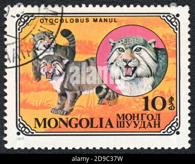 Eine in der Mongolei gedruckte Briefmarke zeigt einen Otocolobus Manul, Serie Wild Cat, um 1979 Stockfoto