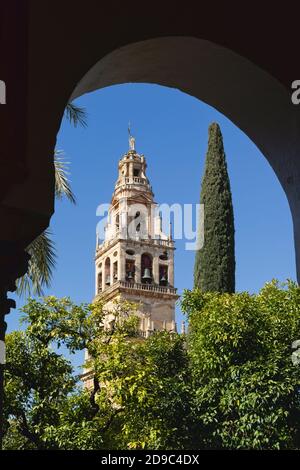 Der Glockenturm der Moschee-Kathedrale von Cordoba, Provinz Cordoba, Andalusien, Südspanien. Hier der Glockenturm, das ehemalige Minarett der Moschee Stockfoto