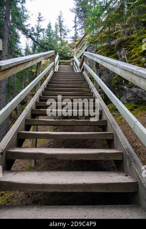 Holzwanderweg Treppe am Old Fort Point Trail im Jasper National Park, Kanada Stockfoto