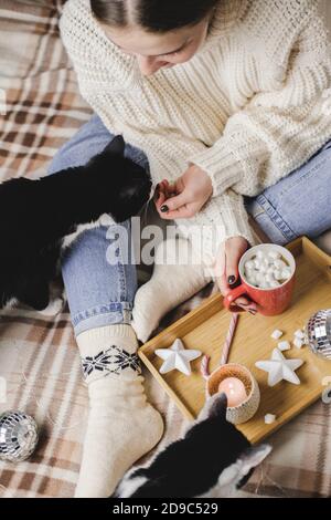 Die junge Frau sitzt auf Karo im kuscheligen Strickpullover aus Wolle mit zwei Smoking-Katzen und hält Tasse Kakao Marshmallows. Hygge Neujahr, Weihnachten, Vorbereitung Stockfoto
