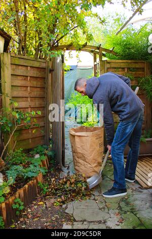 Mann kümmert sich um seinen Garten, indem er abgestorbene Blätter mit einer Schaufel und einem Besen. Bereiten Sie die Ankunft des Winters mit Kompost Laub. Stockfoto