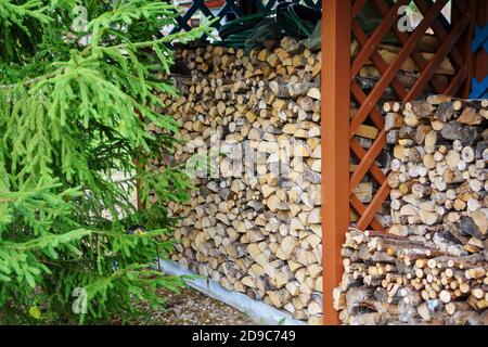 Im Holzschuppen wird Brennholz verschiedener Baumarten gelagert. Konzept des Landlebens. Nicht fokussiert Stockfoto