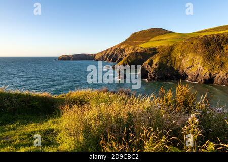 Ein Blick auf Ynys Lochtyn von den Cliffspitzen über LLangrannog, Ceredigion, Wales Stockfoto