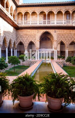 Mudéjar Hof der Jungfrauen am Alcazar von Sevilla, Spanien. Stockfoto