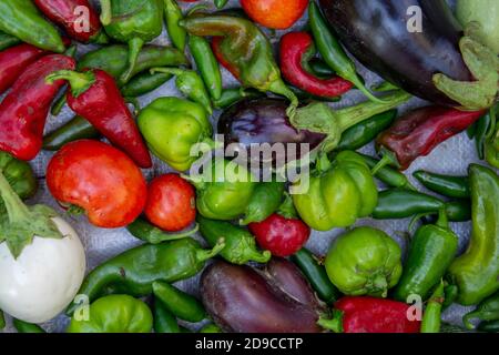 Frisch geerntes Gemüse direkt aus dem Garten. Roh und reif, natürlicher Zustand, Draufsicht Stockfoto