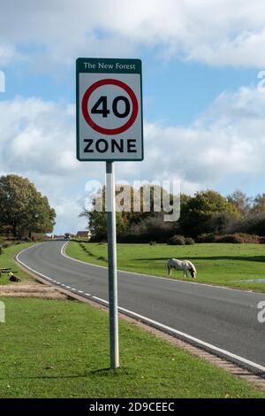 40 Zone, 40 mph Geschwindigkeitsbegrenzung Zeichen auf einer Straße im New Forest National Park, mit einem Pony an der Straße, Hampshire, England, Großbritannien Stockfoto