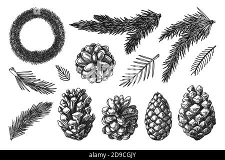 Weihnachtskranz und Zweige verschiedener Pflanzen isoliert auf weißem Hintergrund. Skizze, Illustration von Hand gezeichnet Stock Vektor