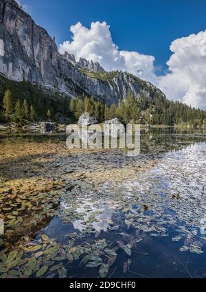 Ein Bild von Wolken Reflexion im See Croda da Lago, in Cortina D'ampezzo, berühmten Skigebiet in den Dolomiten Stockfoto