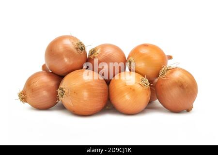 Frische Zwiebeln auf isoliertem weißem Hintergrund Stockfoto