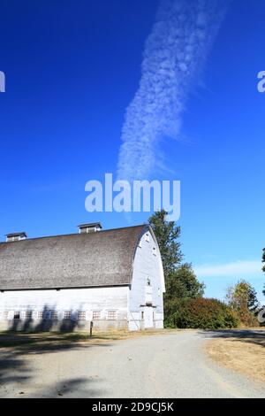 Old Barn im Nisqually National Wildlife Refuge, Washington-USA Stockfoto