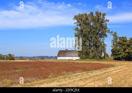 Nisqually National Wildlife Refuge, Washington-USA Stockfoto