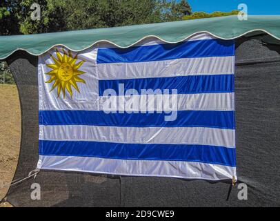Montevideo, Uruguay - 18. Dezember 2008: Nahaufnahme von blau-weiß mit gelber Son-Nationalflagge im Park. Stockfoto