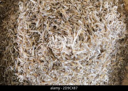 Haufen getrockneter geschälter Sardellen. Beliebte Zutat in der asiatischen Küche. Stockfoto