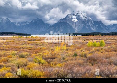 Grand Teton National Park, Willow Flats & Mt Moran, Autumn, WY, USA, von Dominique Braud/Dembinsky Photo Assoc Stockfoto