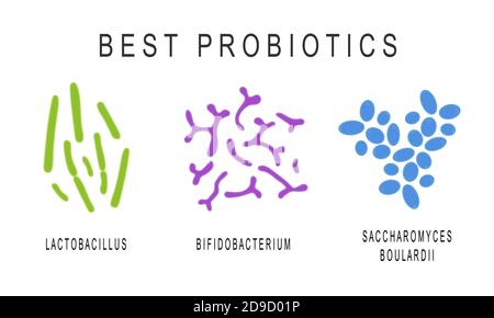 Set von Probiotika, nützliche Bakterien für die menschliche Gesundheit und Schönheit. Gute Mikroorganismen unter Mikroskop isoliert auf weißem Hintergrund. Vektorgrafik. Stock Vektor