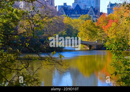 Herbstlaub im Central Park in New York City am 4. November 2020. Stockfoto