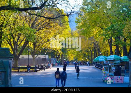 Herbstlaub im Central Park in New York City am 4. November 2020. Stockfoto