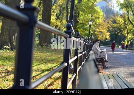 Herbstlaub im Central Park in New York City am 4. November 2020. Stockfoto