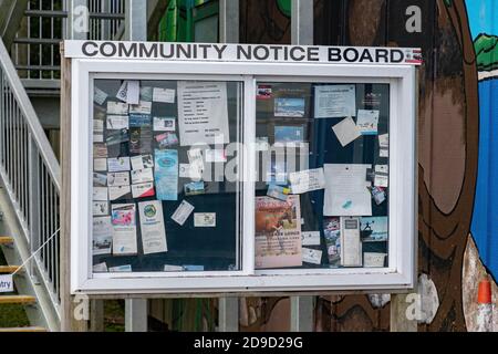 AUCKLAND, NEUSEELAND - 16. Nov 2019: Auckland / Neuseeland - 16 2019. November: Blick auf Shelly Beach Community-Hinweisbrett Stockfoto