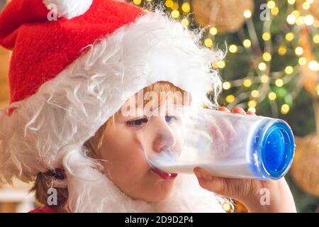 Santa hält Cookie und Glas Milch auf Weihnachtsbaum Hintergrund. Cookies für Weihnachtsmann Kind. Milch und Lebkuchenkekse für den Weihnachtsmann dagegen Stockfoto